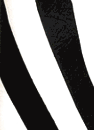 Animal print half chaps � www.thegamereserve.com