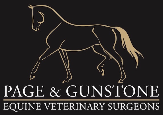 Page & Gunstone Equine Veterinary Surgeons