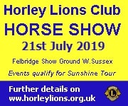 Horley Lions